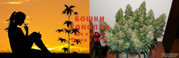 амф Бронницы