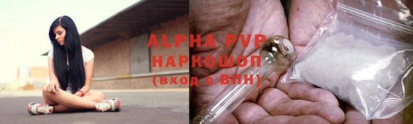 эйфоретик Бородино