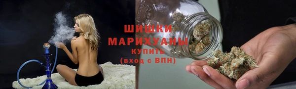 амф Бронницы