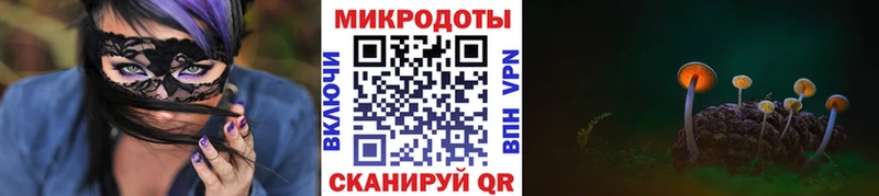 Галлюциногенные грибы Cubensis блэк спрут ссылка Гремячинск