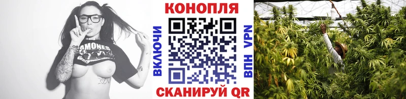 купить закладку  Гремячинск  это официальный сайт  МАРИХУАНА Amnesia 